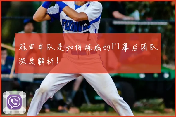 冠军车队是如何炼成的F1幕后团队深度解析！